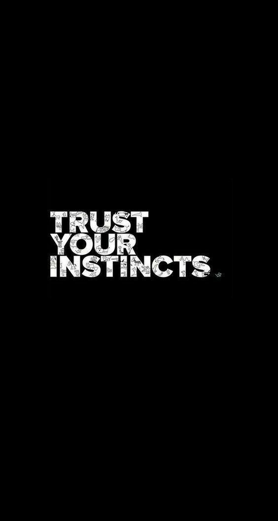 Quotes